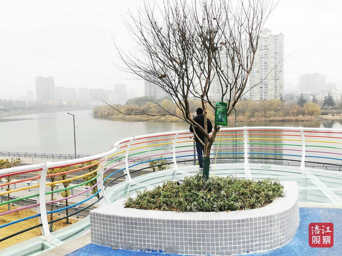 口袋公园3_1.jpg